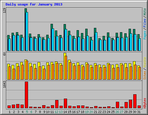 Daily usage for January 2013