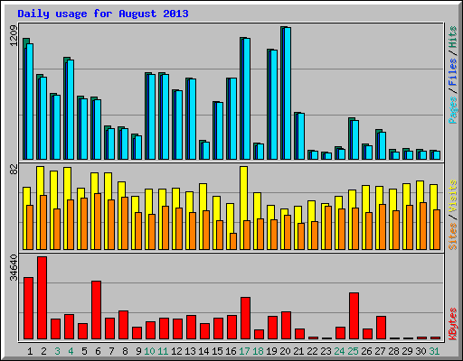 Daily usage for August 2013