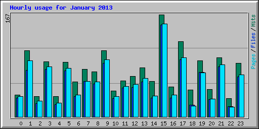 Hourly usage for January 2013