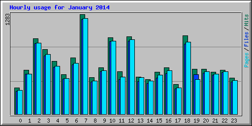 Hourly usage for January 2014