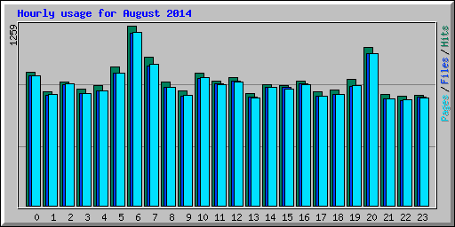 Hourly usage for August 2014