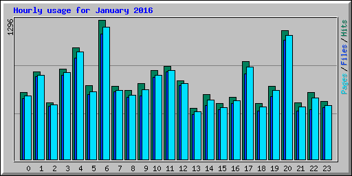 Hourly usage for January 2016