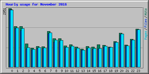 Hourly usage for November 2016