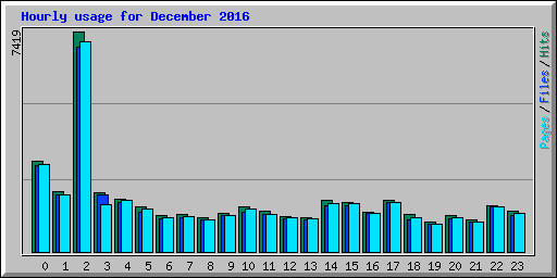 Hourly usage for December 2016