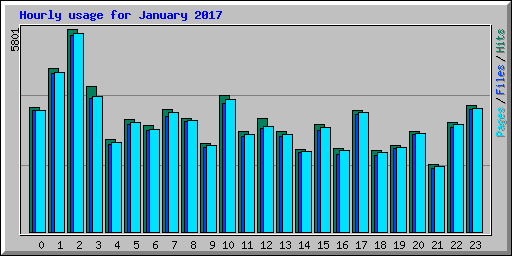 Hourly usage for January 2017