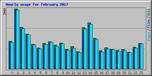 Hourly usage for February 2017